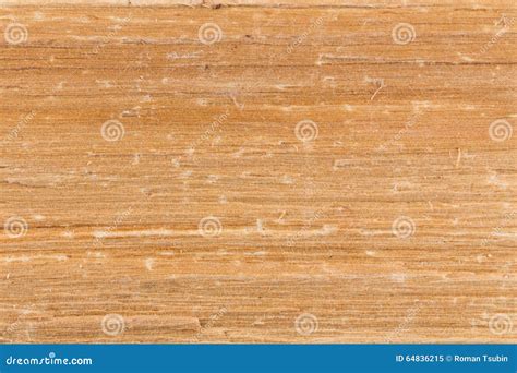 Birch Wood Texture Stock Image Image Of Hardwood Grain 64836215