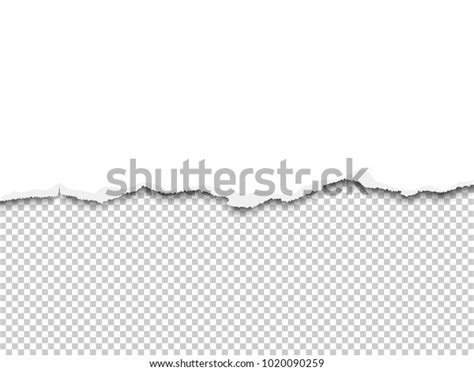 Vector Torn Half Sheet White Paper Stock Vector Royalty Free 1020090259