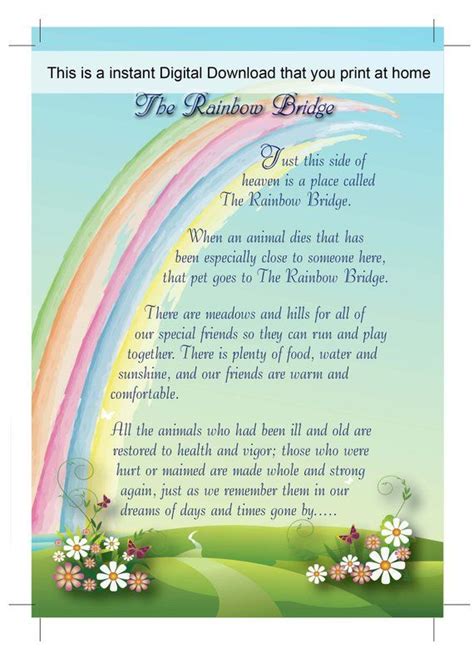 The pet runs and plays all day with the others; Rainbow Bridge CARD 2-sided Digital download, Non-gender ...