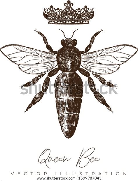 Vintage Queen Bee Crown Hand Drawn Stock Vector Royalty Free 1599987043