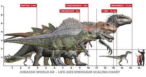 Dinosaurios Carnívoros Dinosaurios Cráneos De Animales Animales