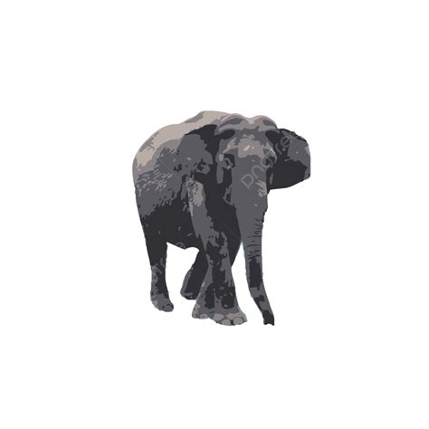 Gambar Binatang Dan Gajah Yang Ditampilkan Dengan Tangan Kartun Png