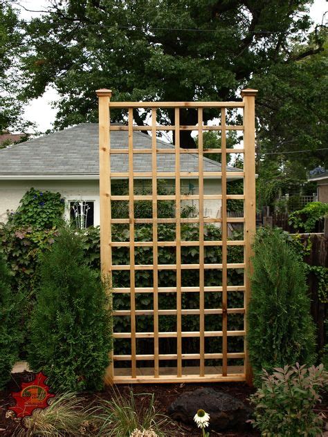 Wooden Trellises Are Nice And If You Grow Some Vinesivy Or Clematis