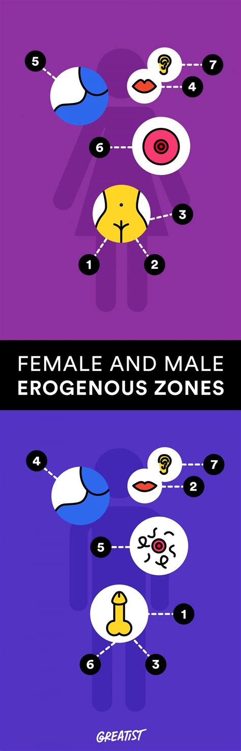 7 Erogenous Zones Chart Friends