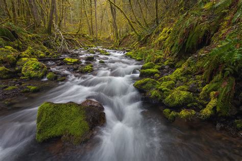 1080p Columbia River Gorge Oregon Moss Hood River County Stream