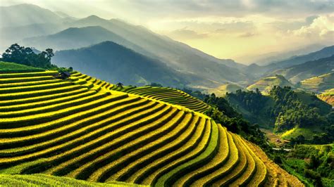 Landscape Rice Fields Asia Yen Bai Vietnam Mu Cang Chai Atmosphere