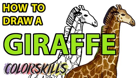 Learn How To Draw A Giraffe