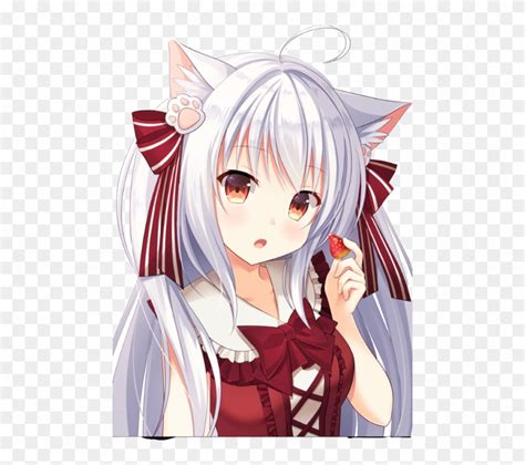 Neko Anime Girl With White Hair And Red Eyes