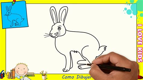 Dibujos De Conejos Faciles Paso A Paso Para Niños Como Dibujar Un