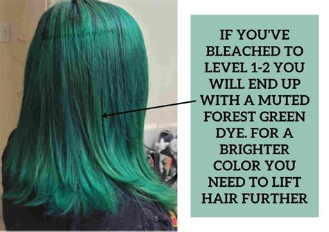 How To Dye Black Hair Into Dark Green 2022 Dyeing With And Without