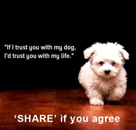 Pin By Mily On I Love My Dog ♥♥ Quotes Animal Lover Quotes Dog