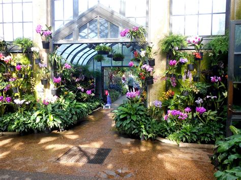 My Virtual Garden The Orchid House 2018