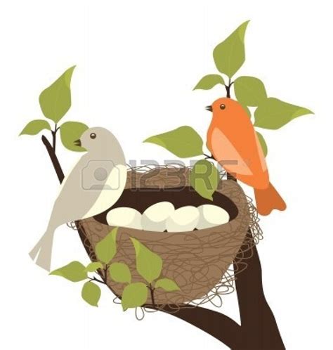 Bird Nest Clip Art 20 Free Cliparts Download Images On Clipground 2023