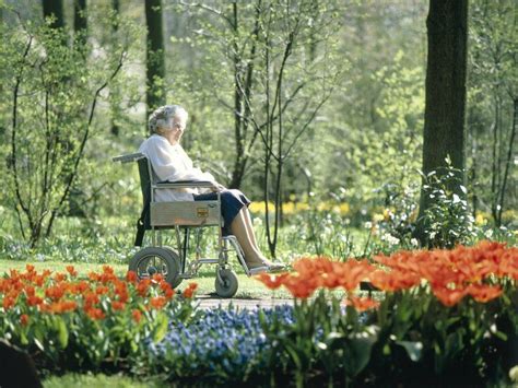 Gardens May Be Therapeutic For Dementia Patients Sensory Garden
