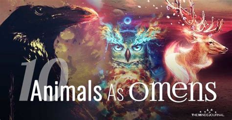 10 Animals As Omens When They Cross Your Path Autel Wiccan Wiccan