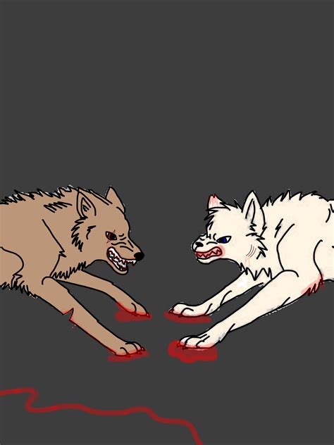 Wolf Fight 2 Wolves Fighting Drawings Character