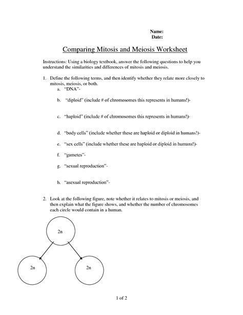 Meiosis review worksheet answer key pdf shows the number of misconceptions can be found. 18 Best Images of Mitosis Worksheet Answer Key Chart ...