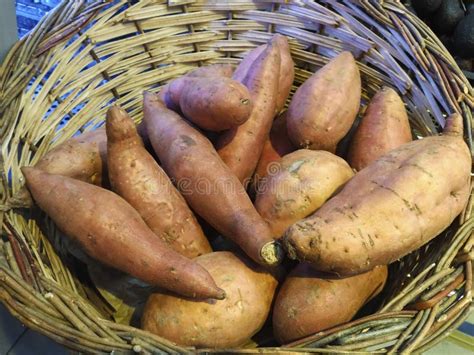 Basket Of Sweet Potatoes Stock Photo Image Of Fresh 18889364