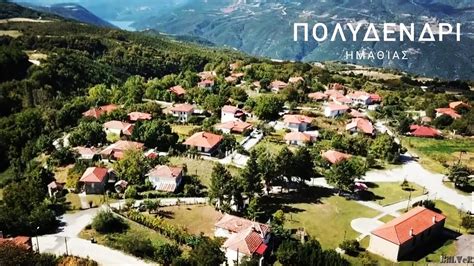Αυτή είναι μια σελίδα αποσαφήνισης, δηλαδή μια σελίδα που δείχνει άλλες που θα είχαν το ίδιο όνομα με αυτήν. ΠΟΛΥΔΕΝΔΡΙ ΗΜΑΘΙΑΣ |ΚΑΘΗΜΕΡΙΝΕΣ ΑΠΟΔΡΑΣΕΙΣ® - YouTube