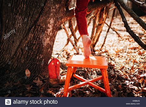 Children Climbing Tree Feet Stock Photos And Children