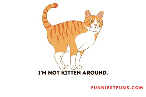 90 Funny Cat Puns And Jokes Meow Tastic Humor Funniest Puns