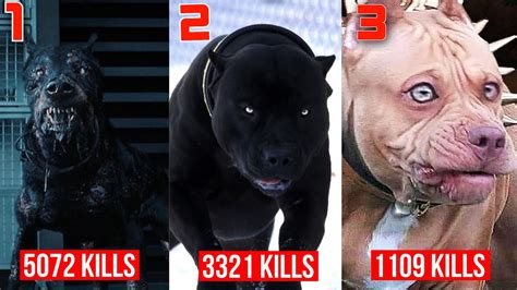 10 Of The Worlds Most Deadly Dog Breeds Youtube