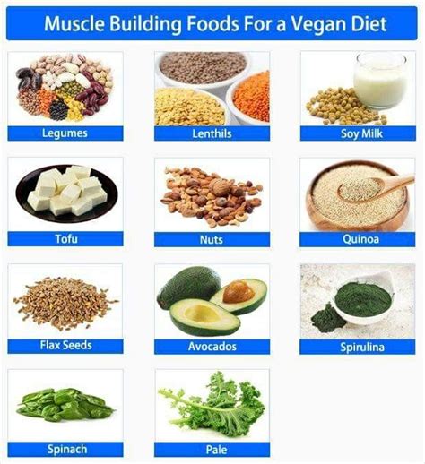 For example, because a squat uses more muscle than a curl, one study found that lifters could knock out more. Pin by itslyssaleigh on Foodie. | Vegan muscle, Best ...