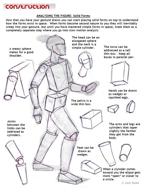 Drawsh Construction Solid Forms Figure Drawing Tutorial Anatomy