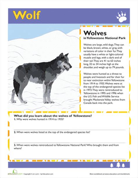 Click the link below to download a page you can color, plus some fun games you can play and learn about yellowstone national park! Wolf | Worksheets, Wolf and Reading comprehension worksheets