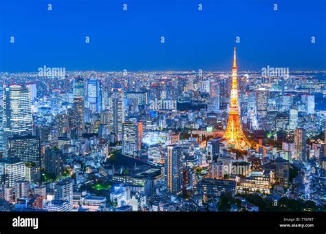 Vista De La Torre De Tokyo De Noche Las Luces Del Horizonte De Tokio