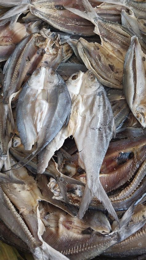 Buy Wholesale United States Dried Norwegian Stock Fish And Cod Headscod