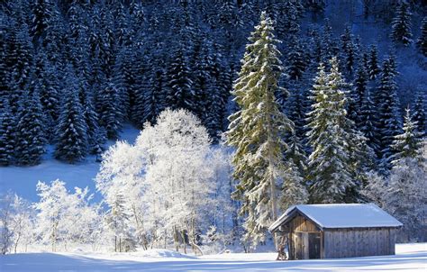 Обои зима лес снег деревья Германия Бавария сарай germany bavaria картинки на рабочий