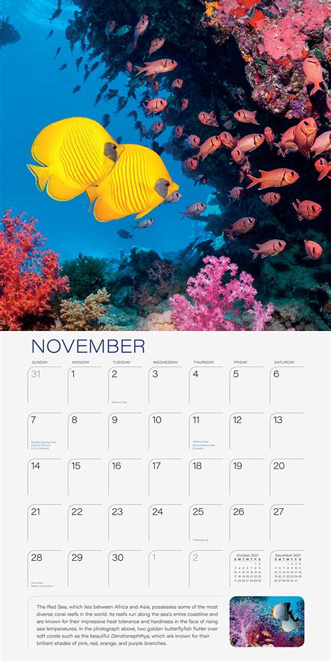 Aburrir Vestir Reforma Calendario Reef 2019 Recluta Diplomático Láser