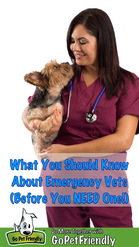 What You Want To Know About Emergency Vets