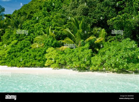 Tropical Beach Pacific Micronesia Palau Stock Photo Alamy