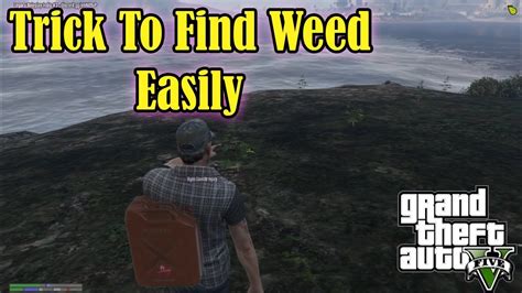 Trick To Find Weed Easily In Weed Farm Gta V Roleplay Youtube