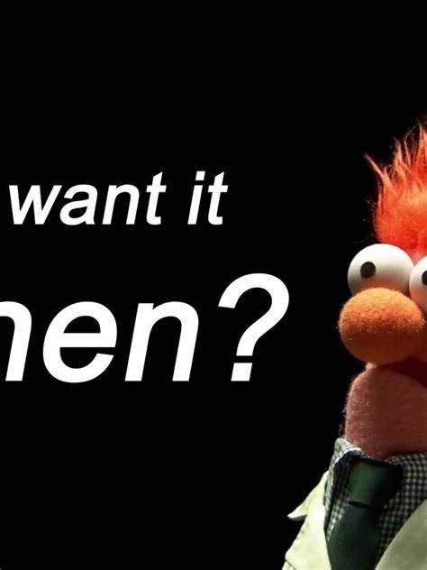 Free Download Funny Muppet Quotes Quotesgram 1920x1200 For Your