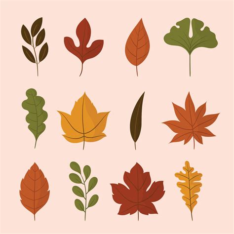 Autumn Leaves Icon Collection 3052798 Vector Art At Vecteezy
