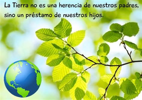 Frases Y Mensajes En Imágenes Para El Día Mundial Del Medio Ambiente