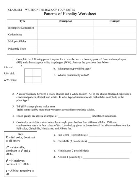 36 Patterns Of Heredity And Human Genetics Worksheet Answers Support