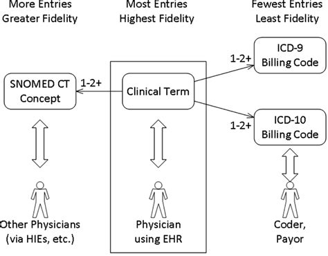 SNOMED CT Concept Hierarchies For Sharing Definitions Of Clinical