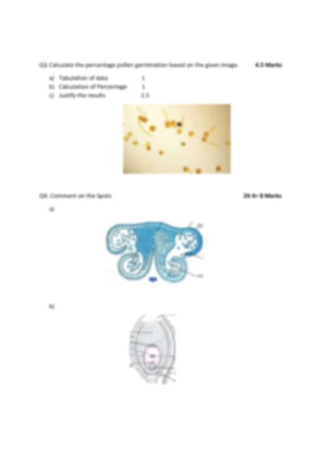 Solution Final Plant Anatomy And Embryology Practical 2020 Studypool