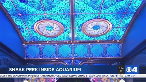Inside The St Louis Aquarium A Grand Entryway Youtube