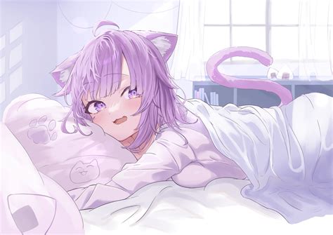 sfondi anime girls ragazza gatto orecchie di gatto coda di gatto capelli viola 3541x2508