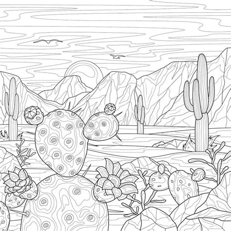 Desert With Different Cacti Landscape Sunsetcoloring Book Antistress