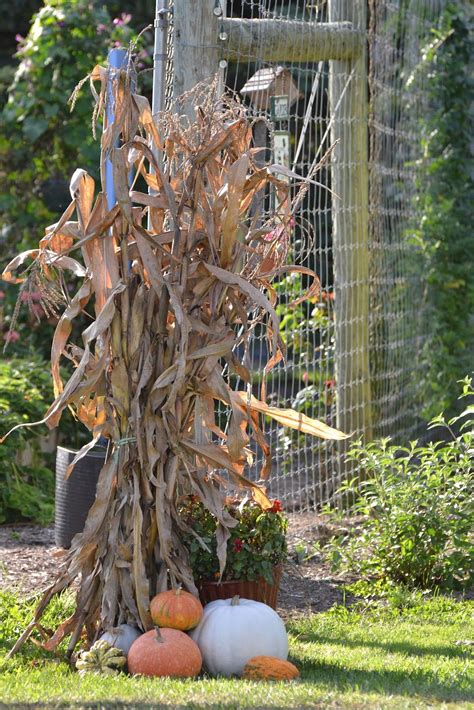 Corn Stalks Outside Fall Decorations Fall Yard Decor Fall Harvest
