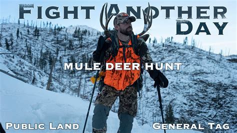 Fight Another Day Montana Mule Deer Hunt 4k Rutting Mountain