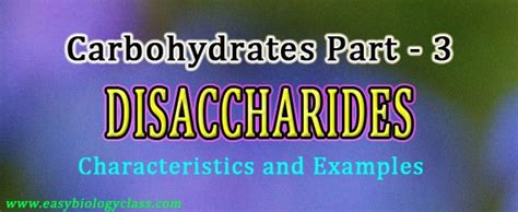 Disaccharides Definition Examples Easybiologyclass