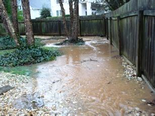 6 Ways to Determine if You Have Drainage Issues - Sprinkalawn
