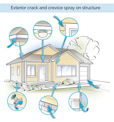 Ants (including red imported fire ants and carpenter ants) tags: Preventive Pest Control Treatment - Perimeter Pest Control